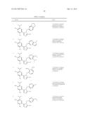 TRIAZOLE COMPOUNDS THAT MODULATE HSP90 ACTIVITY diagram and image