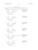 TRIAZOLE COMPOUNDS THAT MODULATE HSP90 ACTIVITY diagram and image