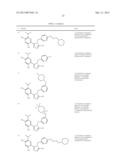 TRIAZOLE COMPOUNDS THAT MODULATE HSP90 ACTIVITY diagram and image