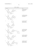 TRIAZOLE COMPOUNDS THAT MODULATE HSP90 ACTIVITY diagram and image