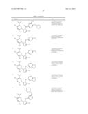 TRIAZOLE COMPOUNDS THAT MODULATE HSP90 ACTIVITY diagram and image