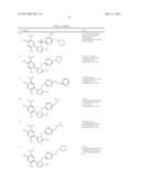 TRIAZOLE COMPOUNDS THAT MODULATE HSP90 ACTIVITY diagram and image