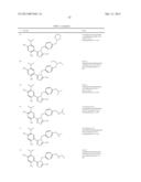 TRIAZOLE COMPOUNDS THAT MODULATE HSP90 ACTIVITY diagram and image