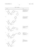 TRIAZOLE COMPOUNDS THAT MODULATE HSP90 ACTIVITY diagram and image