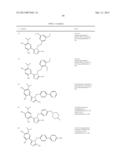 TRIAZOLE COMPOUNDS THAT MODULATE HSP90 ACTIVITY diagram and image