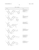 TRIAZOLE COMPOUNDS THAT MODULATE HSP90 ACTIVITY diagram and image