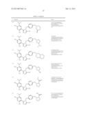 TRIAZOLE COMPOUNDS THAT MODULATE HSP90 ACTIVITY diagram and image