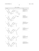 TRIAZOLE COMPOUNDS THAT MODULATE HSP90 ACTIVITY diagram and image