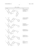 TRIAZOLE COMPOUNDS THAT MODULATE HSP90 ACTIVITY diagram and image