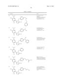 TRIAZOLE COMPOUNDS THAT MODULATE HSP90 ACTIVITY diagram and image