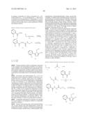 TRIAZOLE COMPOUNDS THAT MODULATE HSP90 ACTIVITY diagram and image