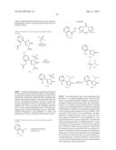 TRIAZOLE COMPOUNDS THAT MODULATE HSP90 ACTIVITY diagram and image