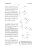 TRIAZOLE COMPOUNDS THAT MODULATE HSP90 ACTIVITY diagram and image