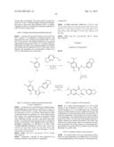 TRIAZOLE COMPOUNDS THAT MODULATE HSP90 ACTIVITY diagram and image