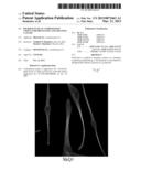 PHARMACEUTICAL COMPOSITIONS USEFUL FOR PREVENTING AND TREATING CANCER diagram and image