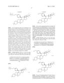 PROGESTERONE RECEPTOR ANTAGONISTS diagram and image