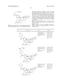 PROGESTERONE RECEPTOR ANTAGONISTS diagram and image