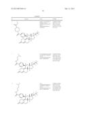 PROGESTERONE RECEPTOR ANTAGONISTS diagram and image