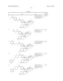 PROGESTERONE RECEPTOR ANTAGONISTS diagram and image