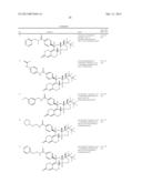 PROGESTERONE RECEPTOR ANTAGONISTS diagram and image