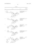 PROGESTERONE RECEPTOR ANTAGONISTS diagram and image