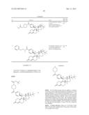 PROGESTERONE RECEPTOR ANTAGONISTS diagram and image