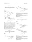 PROGESTERONE RECEPTOR ANTAGONISTS diagram and image