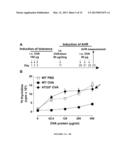 COMPOSITIONS AND METHODS FOR THE TREATMENT OF ASTHMA AND ASSOCIATED     DISORDERS diagram and image