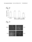 6,8-DISUBSTITUTED PURINE COMPOSITIONS diagram and image