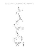 Anti-Cancer Tamoxifen-Melatonin Hybrid Ligand diagram and image