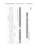 ADENO-ASSOCIATED VIRAL VECTOR FOR EXON SKIPPING IN A GENE ENCODING A     DISPENSIBLE-DOMAIN PROTEIN diagram and image