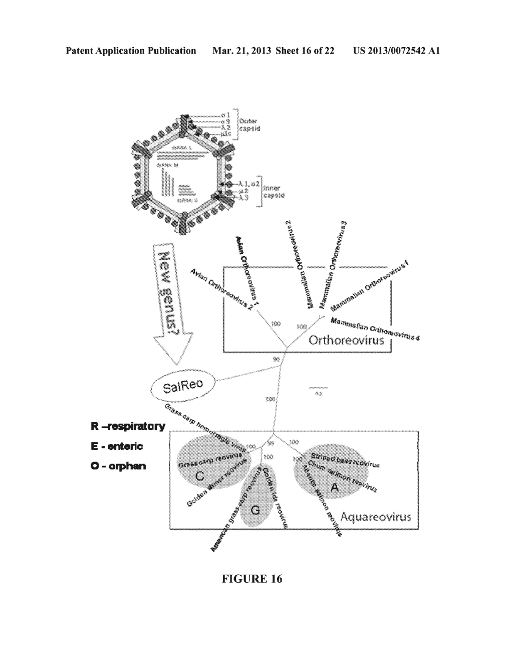 PISCINE REOVIRUS DIAGNOSTIC COMPOSITIONS - diagram, schematic, and image 17