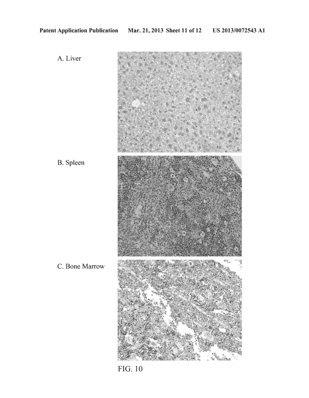 Compounds and Compositions for Nucleic Acid Formulation and Delivery - diagram, schematic, and image 12