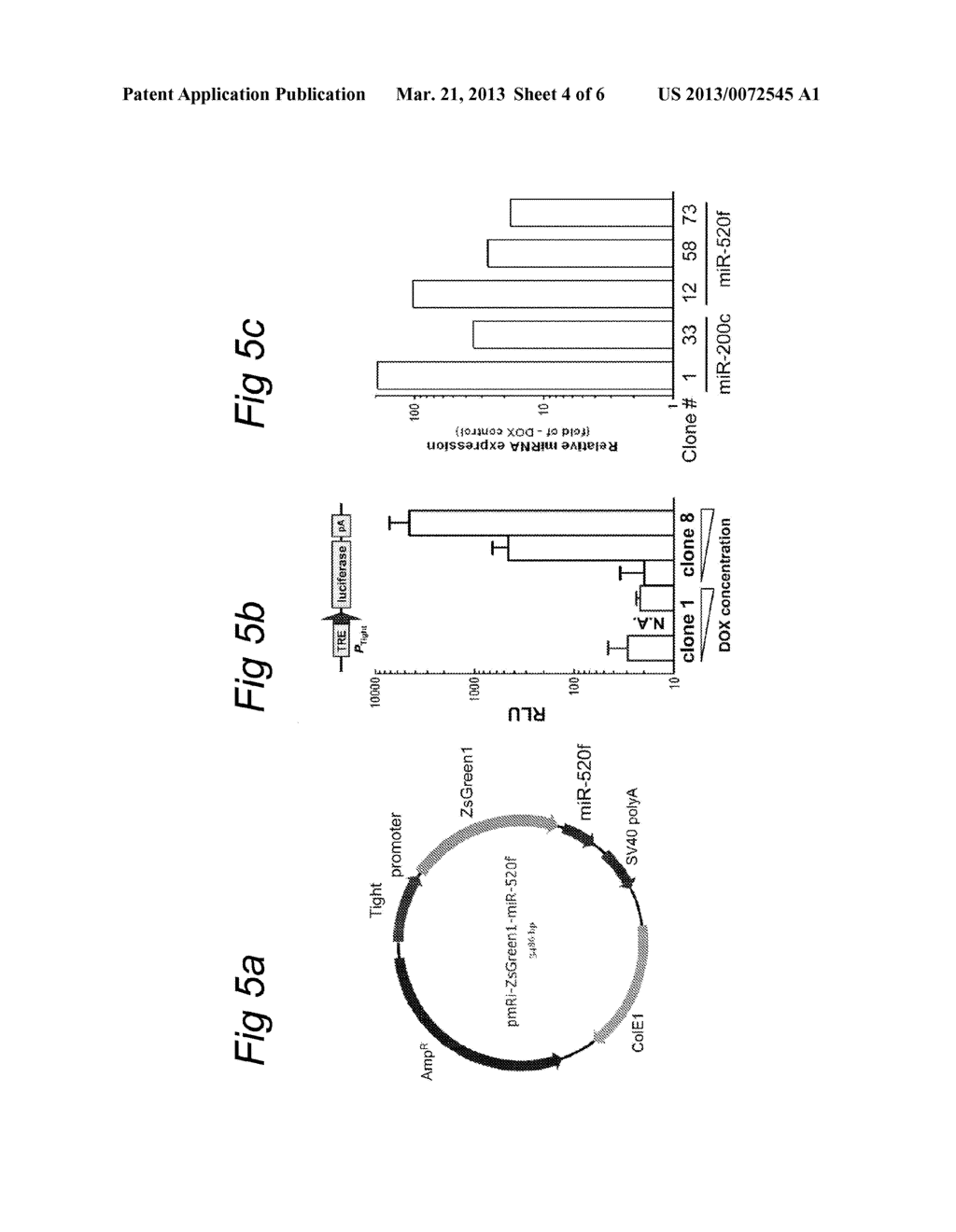 MiRNA MOLECULE DEFINED BY ITS SOURCE AND ITS DIAGNOSTIC AND THERAPEUTIC     USES IN DISEASES OR CONDITIONS ASSOCIATED WITH EMT - diagram, schematic, and image 05