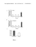 PKC ACTIVATION AS A MEANS FOR ENHANCING sAPPalpha SECRETION AND IMROVING     COGNITION USING BRYOSTATIN TYPE COMPOUNDS diagram and image