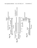 METHODS FOR THE TREATMENT AND PREVENTION OF AGE-RELATED RETINAL     DYSFUNCTION diagram and image