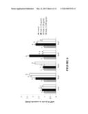 DIETARY SUPPLEMENTS CONTAINING EXTRACTS OF CINNAMON AND METHODS OF USING     SAME TO PROMOTE ENHANCED SIRTUIN, CELL AND TELOMERE INTEGRITY diagram and image