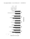 DIETARY SUPPLEMENTS CONTAINING EXTRACTS OF CINNAMON AND METHODS OF USING     SAME TO PROMOTE ENHANCED SIRTUIN, CELL AND TELOMERE INTEGRITY diagram and image