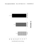 DIETARY SUPPLEMENTS CONTAINING EXTRACTS OF CINNAMON AND METHODS OF USING     SAME TO PROMOTE ENHANCED SIRTUIN, CELL AND TELOMERE INTEGRITY diagram and image