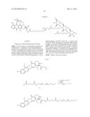 Polymeric Carriers of Therapeutic Agents and Recognition Moieties for     Antibody-Based Targeting of Disease Sites diagram and image