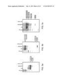 MODULATION OF EXON RECOGNITION IN PRE-MRNA BY INTERFERING WITH THE     SECONDARY RNA STRUCTURE diagram and image