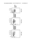 MODULATION OF EXON RECOGNITION IN PRE-MRNA BY INTERFERING WITH THE     SECONDARY RNA STRUCTURE diagram and image