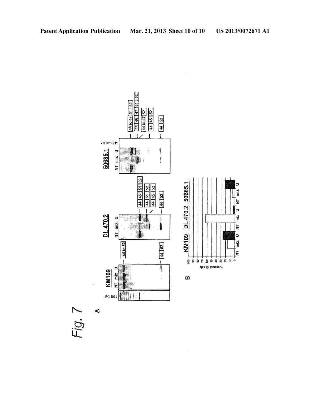 MODULATION OF EXON RECOGNITION IN PRE-MRNA BY INTERFERING WITH THE     SECONDARY RNA STRUCTURE - diagram, schematic, and image 11