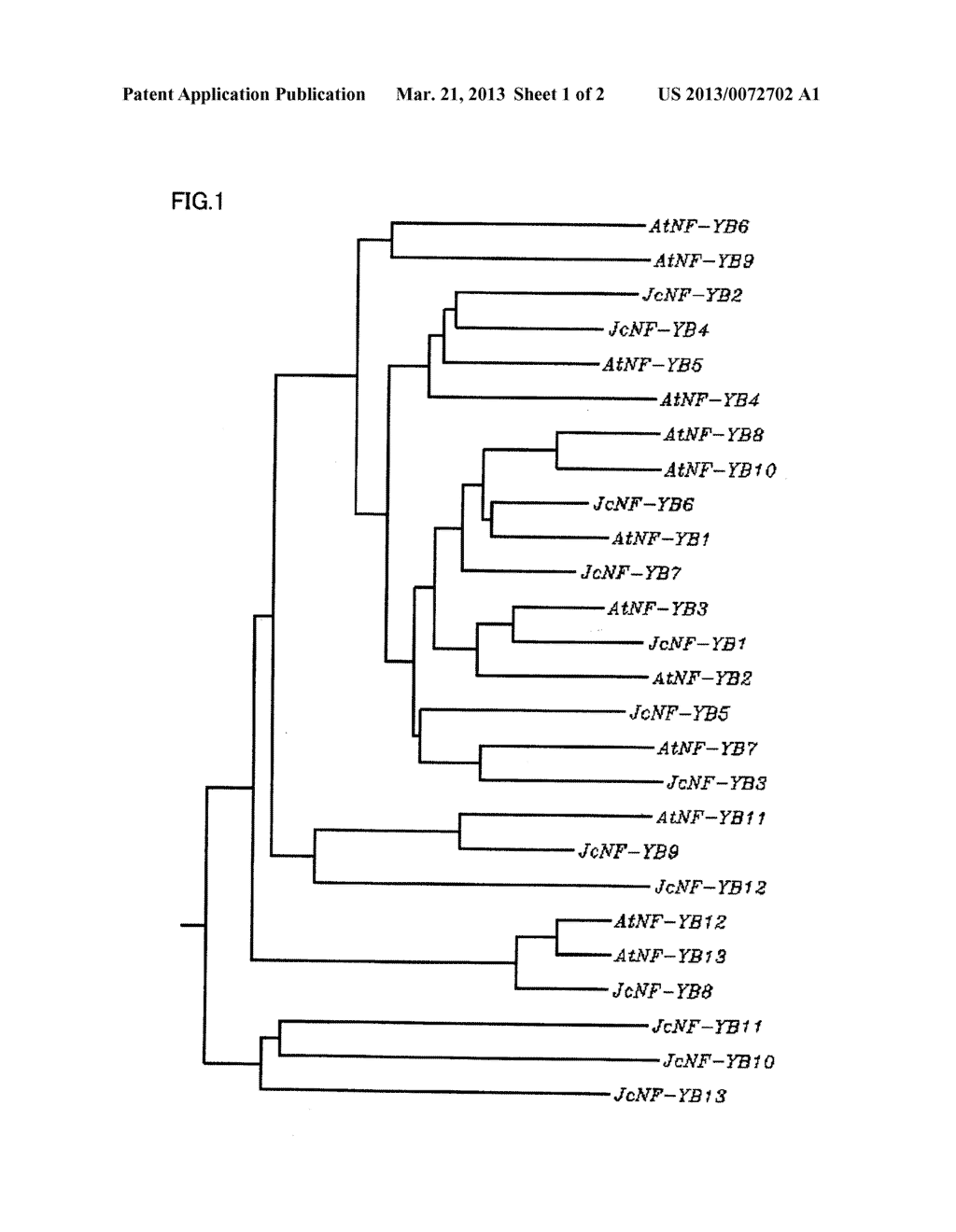 POLYNUCLEOTIDE ENCODING NF-YB DERIVED FROM JATROPHA AND USE THEREOF - diagram, schematic, and image 02