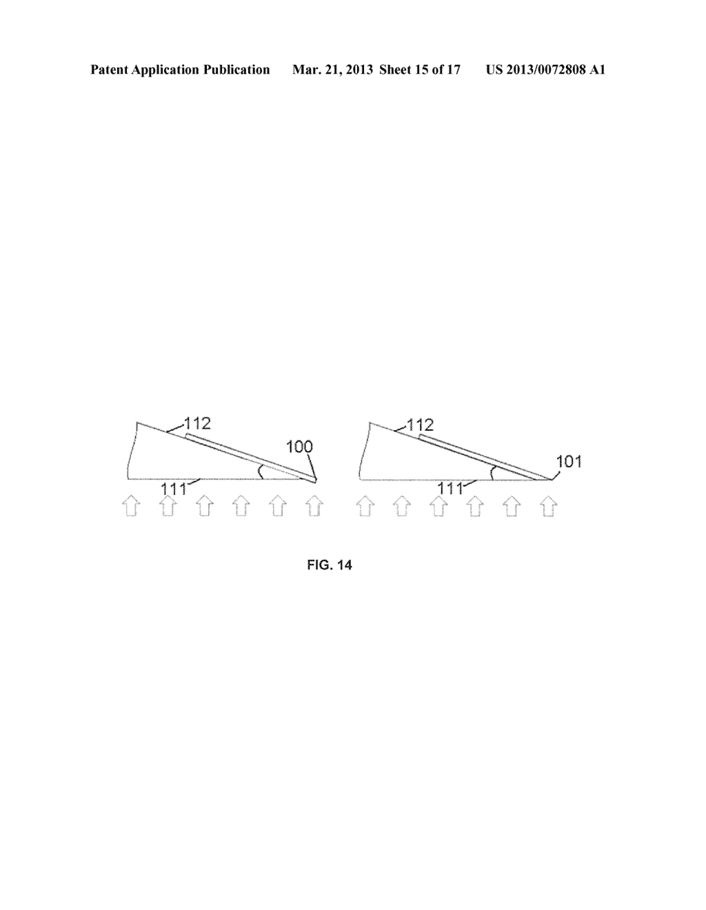 STRUCTURED PROBES FOR NEURAL APPLICATIONS - diagram, schematic, and image 16