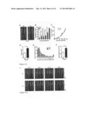 USE OF ENTRAINED NEUTROPHILS TO TREAT METASTATIC AND MICROMETASTATIC     DISEASE IN AT RISK PATIENTS diagram and image