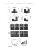 USE OF ENTRAINED NEUTROPHILS TO TREAT METASTATIC AND MICROMETASTATIC     DISEASE IN AT RISK PATIENTS diagram and image