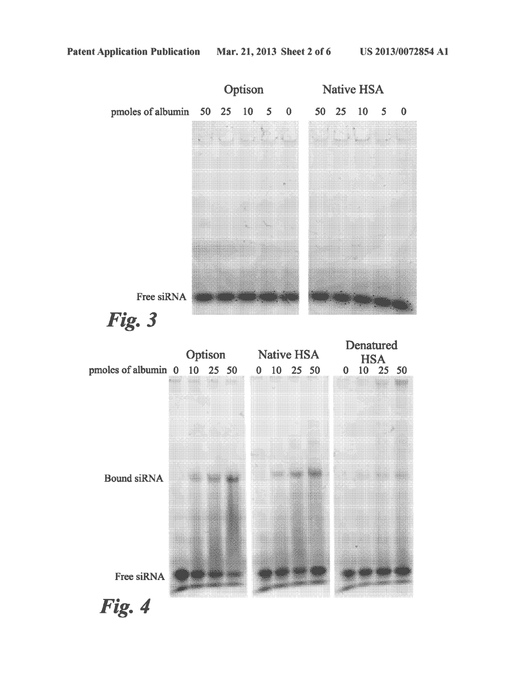 MICROBUBBLE COMPLEXES AND METHODS OF USE - diagram, schematic, and image 03