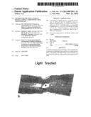 METHOD FOR TREATING A PATIENT HAVING A SPINAL CORD INJURY USING     PHOTOTHERAPY diagram and image