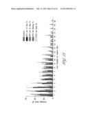 METHOD FOR TREATING A PATIENT HAVING A SPINAL CORD INJURY USING     PHOTOTHERAPY diagram and image